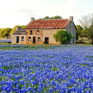 Meet your Posher, Alana